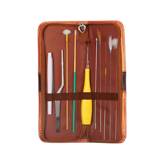 small ear cleaning tool set